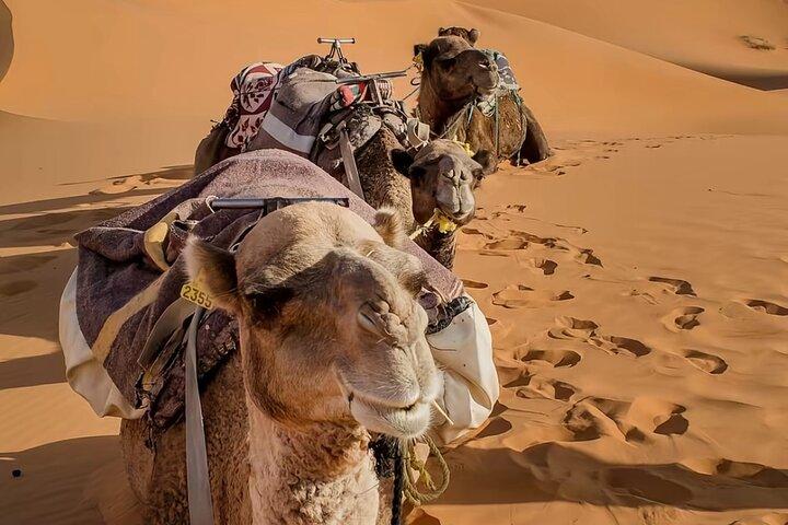 Esperienza di lusso di 3 giorni nel Sahara da Marrakech a Merzouga