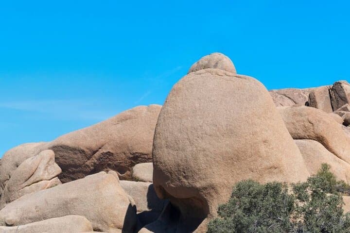 Las Vegas To Los Angeles One Way Tour Joshua Tree National Park