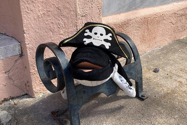 Whale of a Tale un tour a piedi per famiglie a Charleston