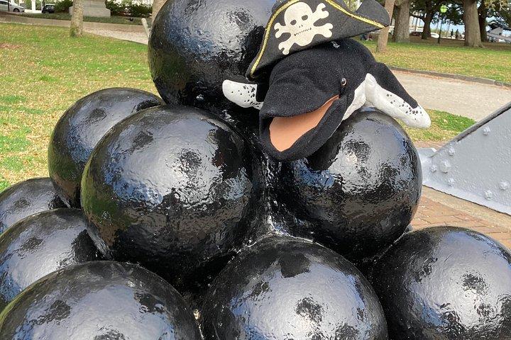 Whale of a Tale un tour a piedi per famiglie a Charleston