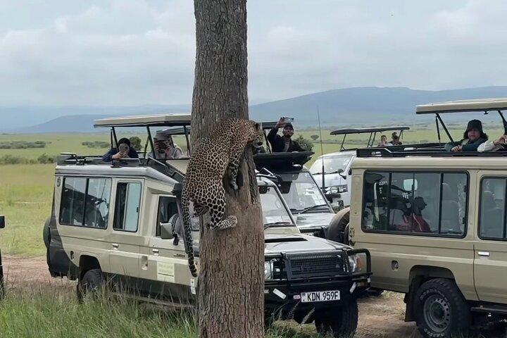 Gruppo Maasai Mara di 3 giorni che partecipa al Safari con tour guidato
