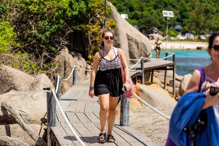 ナン ユアン島とタオ島 5 ポイント シュノーケリング ツアー