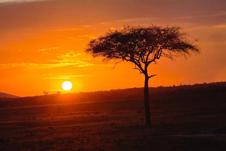 Samburu National Reserve Explorer Safari