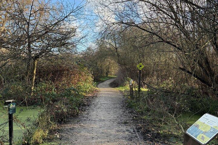 The Ealing Beaver Project: A Self-Guided Walking Tour