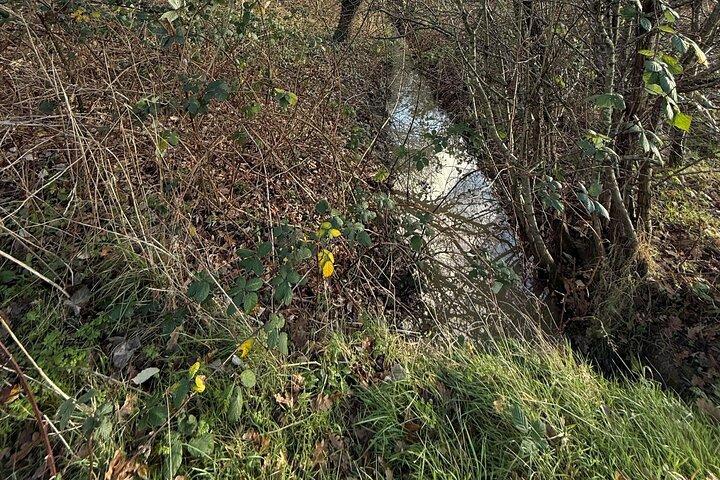 The Ealing Beaver Project: A Self-Guided Walking Tour
