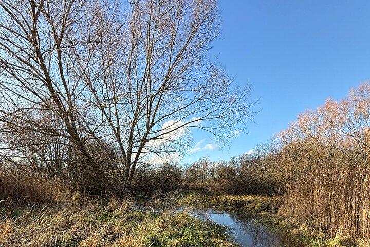 The Ealing Beaver Project: A Self-Guided Walking Tour