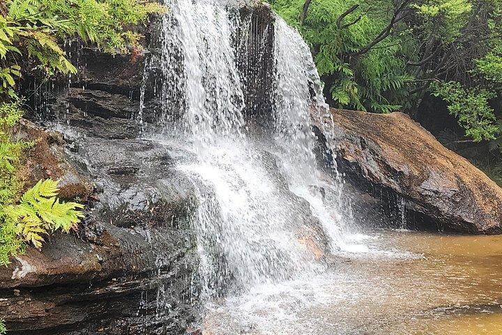 Excursion d'une journée à Blue Mountains au départ de Sydney
