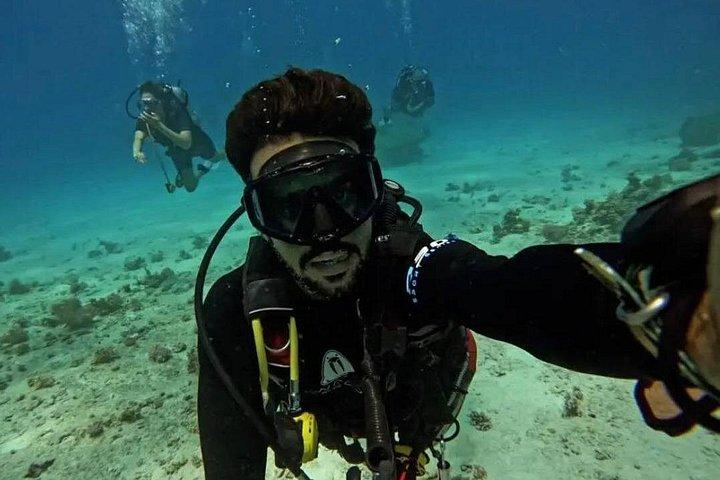 ハルガダスキューバダイビング旅行 2ダイブストップランチ付き送迎付き