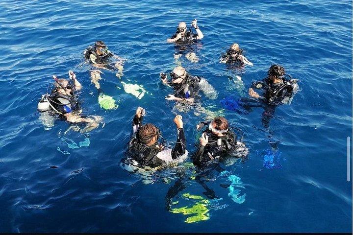 ハルガダスキューバダイビング旅行 2ダイブストップランチ付き送迎付き