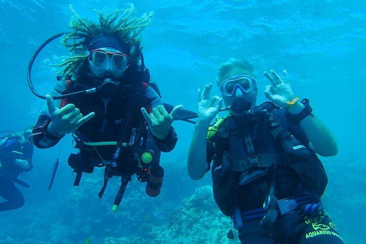 ハルガダスキューバダイビング旅行 2ダイブストップランチ付き送迎付き