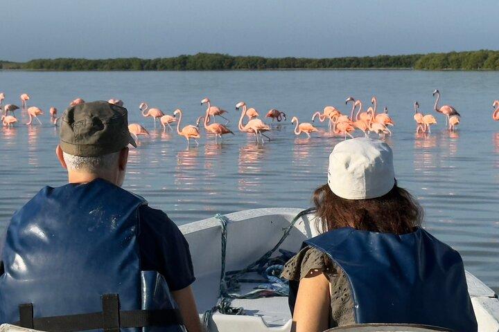 Rio Lagartos och Las Coloradas - Flamingo och Crocodile Safari Plus