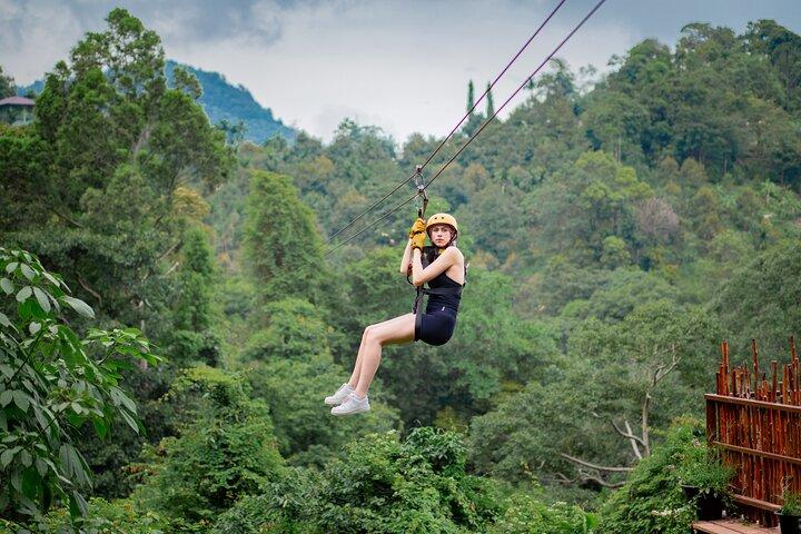 Experiencia de canopy en la selva tropical desde Koh Samui