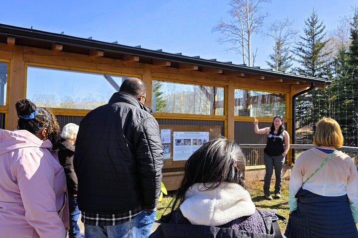 Wolfdog Sanctuary Half Day Tour from Calgary