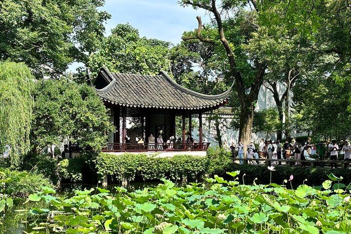 Privé Suzhou-dagtour van Shanghai naar klassieke tuinen en Tongli Water Town
