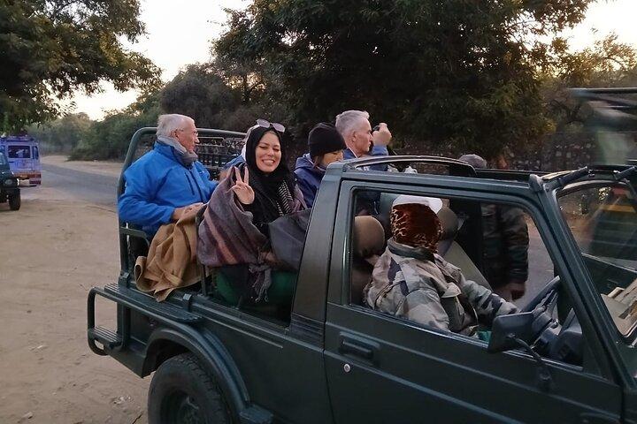 6 Days Golden Triangle Tour with Ranthambore: Delhi Agra Jaipur Ranthambore Tour