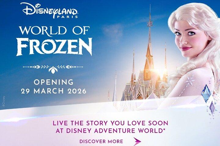 Disneyland® Paris 1 Day Ticket with Transport from Paris