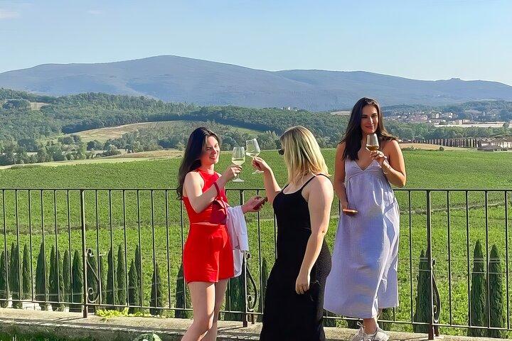 Vanuit Florence : Chianti-wijntour van een halve dag met proeverij