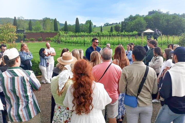 De Florence : Visite du Chianti avec dégustation