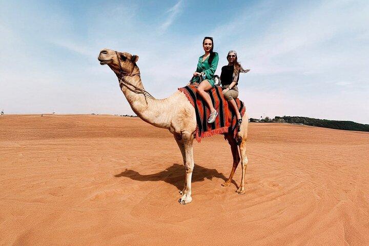 Dubai Evening Desert Safari met pick-up, BBQ & 5 live shows