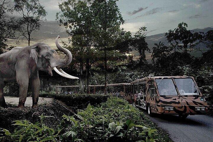 Billet d'entrée Singapour Night Safari avec Tramway Ride E-Ticket