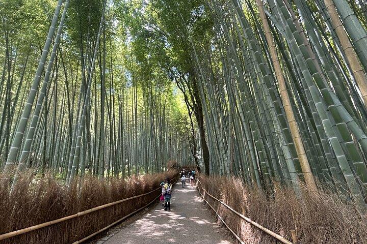 Arashiyama Morning Escape Bambushain und Zen Tempel