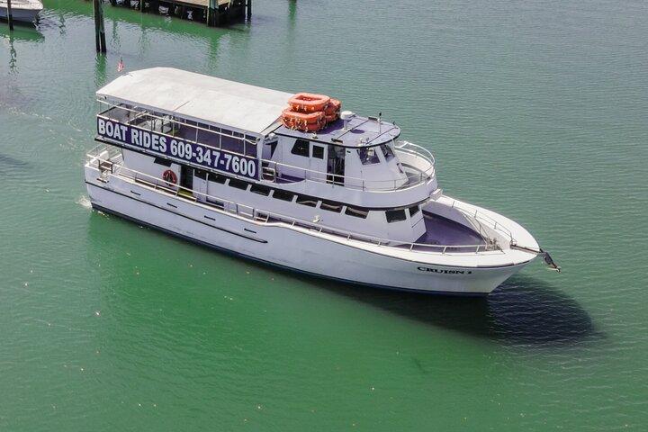 Dolphin Watching Adventure Cruise in Atlantic City