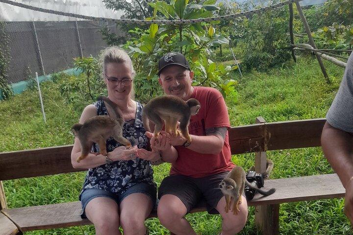 Monkey Paradise oplevelse og Puerto Plata City Tour