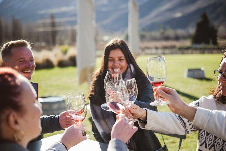 Queenstown: Tour da tarde de vinho e cerveja com platters