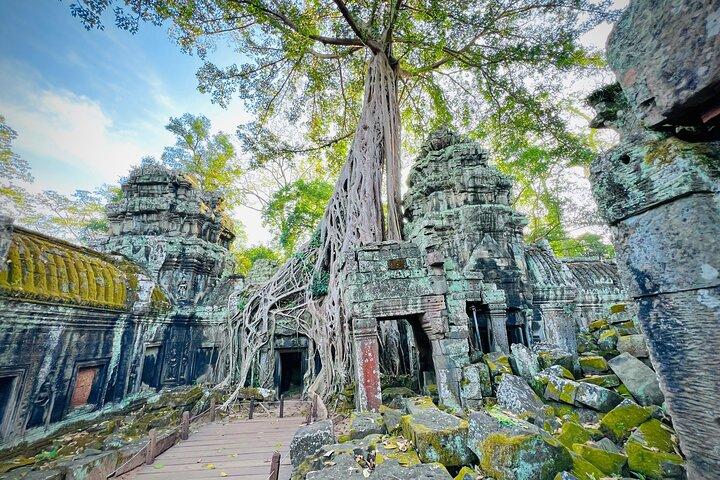 Sunrise Private Tour Angkor Wat Adventure