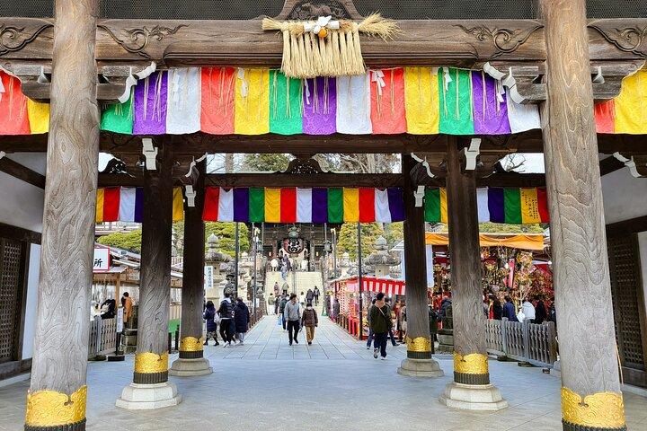 Narita: Shinshoji Temple Highlights Walk & Peace Pagoda
