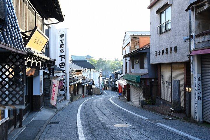 Narita: Shinshoji Temple Highlights Walk & Peace Pagoda