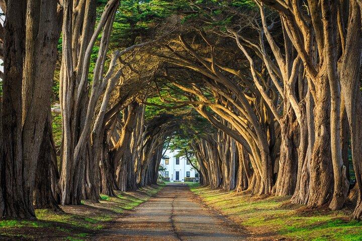 Northern California Self-Guided Driving and Walking Bundle Tour