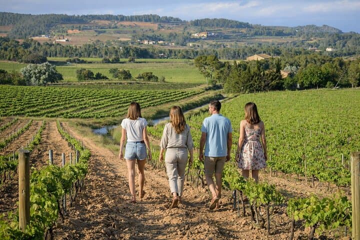 Private Dalí’s World Wine and Cava Tour with Hotel pick-up from Barcelona