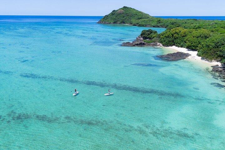 石垣マングローブと海のSUPかカヤックでドローンと一眼レフ映像