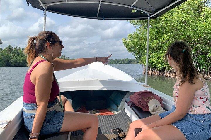 Galle : Koggala Lake Boat Safari met Apen Vogels & Natuur