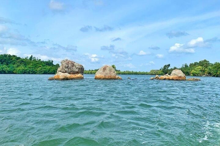Galle : Koggala Lake Boat Safari met Apen Vogels & Natuur
