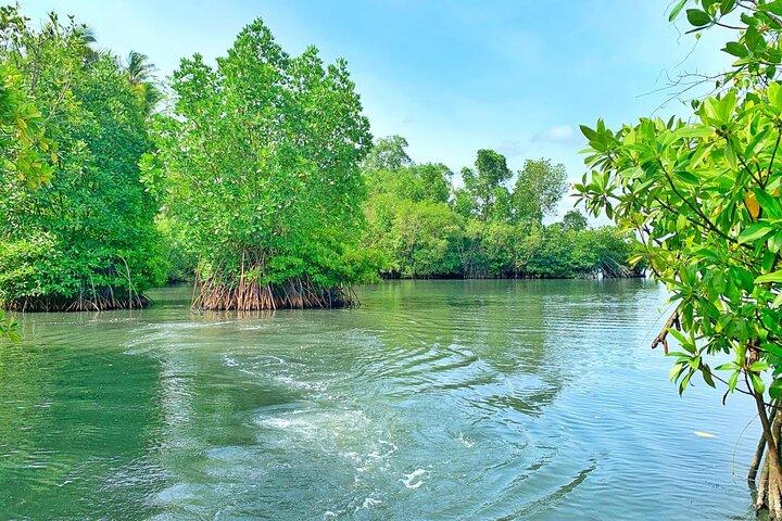 Galle : Koggala Lake Boat Safari met Apen Vogels & Natuur
