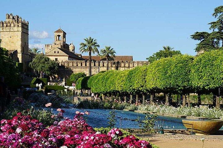 Visita guidata dell'Alcázar dei Re Cristiani
