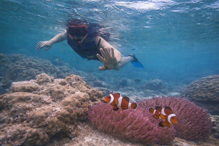 Private Batam Island snorkling og kano fra Singapore