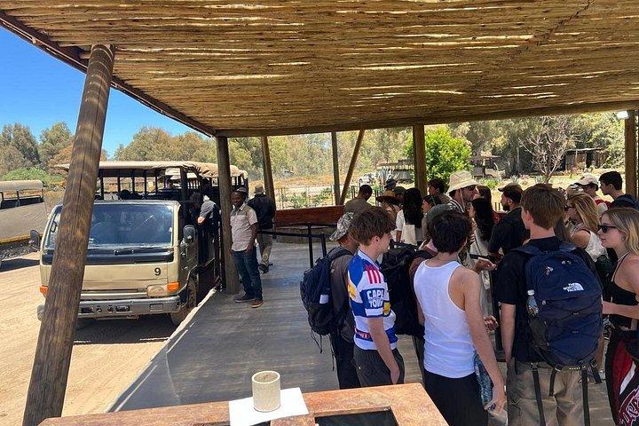 Aquila Big 5 Safari and Wine Tasting Day Tour – From Cape Town