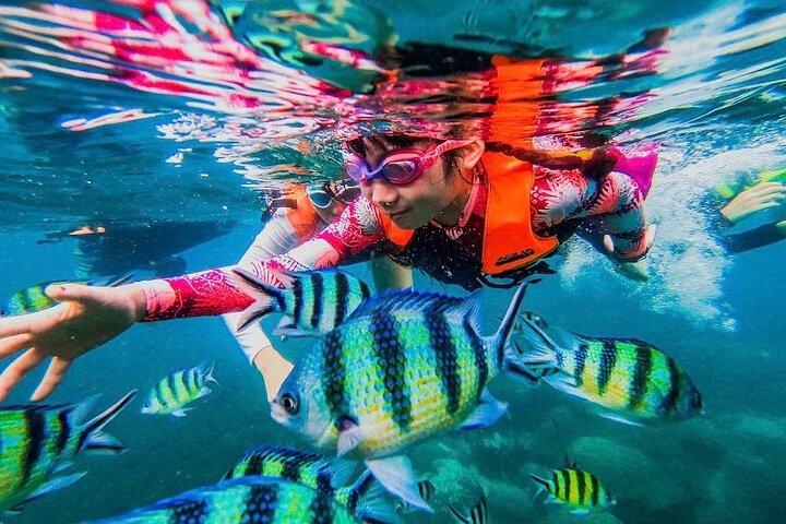 サムイ島発スピードボートでのシュノーケリングツアータオ島＆ナンユアン島