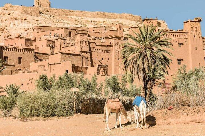 Excursion d'une journée de Marrakech à Ait ben haddou & Ouarzazate