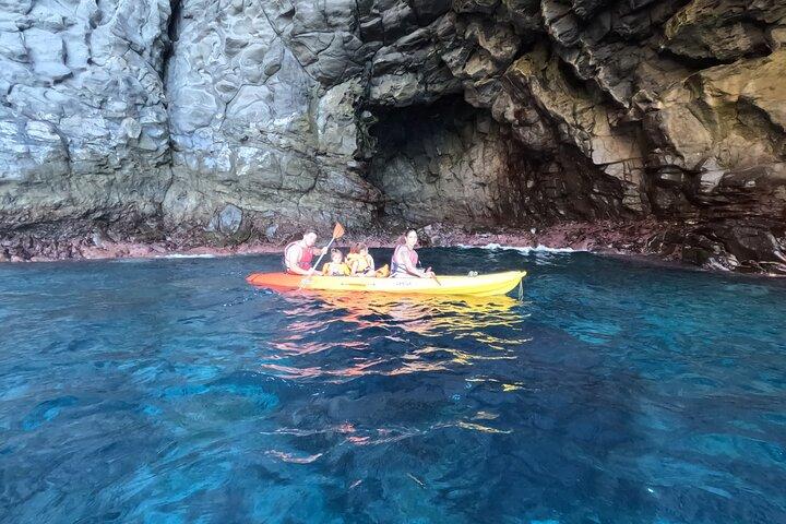 Kayaking in Palm Mar with Dolphin and Turtle Watching