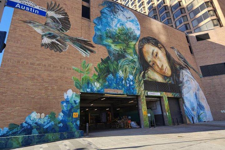 3 uur Downtown Murals Tour