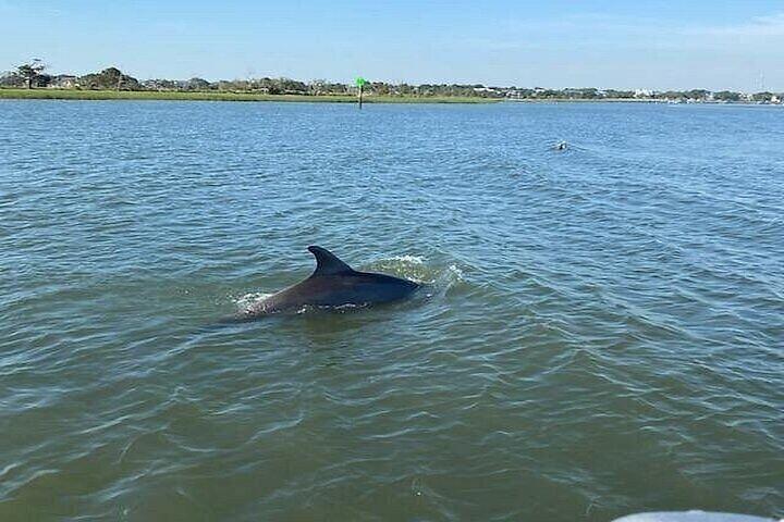Dolphin Discovery Sunset Cruise
