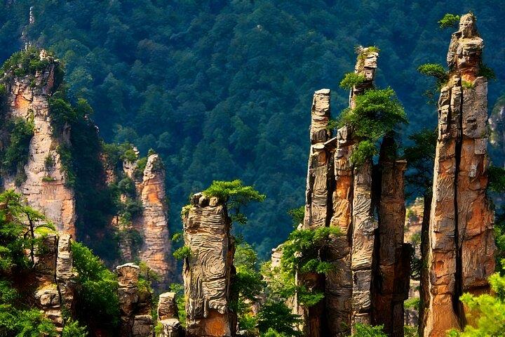 2-dages Chongqing-Zhangjiajie Private TourUdforsk de must-see gems