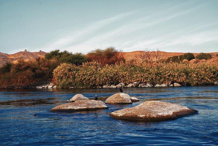 Excursión privada de un día desde Luxor a Asuán