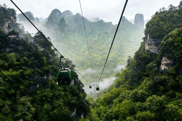 2-dages Chongqing-Zhangjiajie Private TourUdforsk de must-see gems