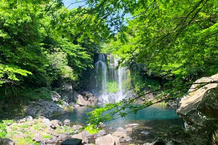Jeju South Scenic Tour : Hallasan Trail Camellia Hill & Watervallen