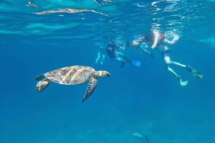 Similan Islands Speedboat Tour med snorkling fra Phuket / Khao Lak